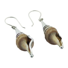 Ethnic marine conch shell silver earrings 