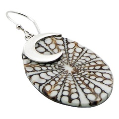 Oval spider shell silver earrings 2