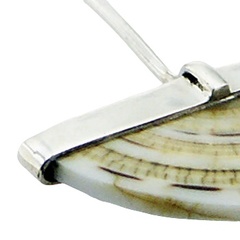 Semi circled conch shells silver earrings 2