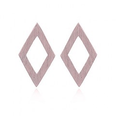 Brushed Silver Diamond Earrings Rose Gold Plated