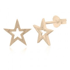 Brushed Silver Star Earrings Gold Plated by BeYindi