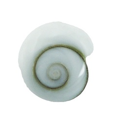 Polished Sterling Silver Shiva Eye Drop Earrings Olive Spiral by BeYindi 3