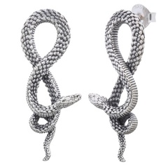 Mamba Snake Stud Earrings 925 Sterling Silver by BeYindi