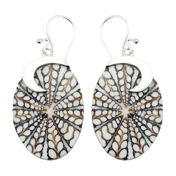 Oval spider shell silver earrings 